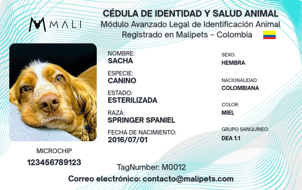 Ejemplo de cédula de identidad y salud animal digital de MaliPets